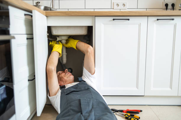 Best Septic Systems  in Mmaduke, AR